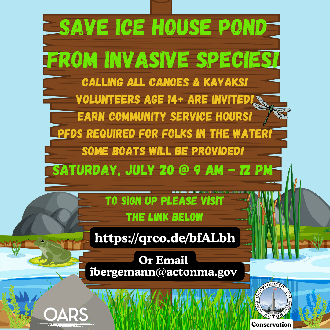 Water Chestnut Pull 2024 (Instagram Post) (1)