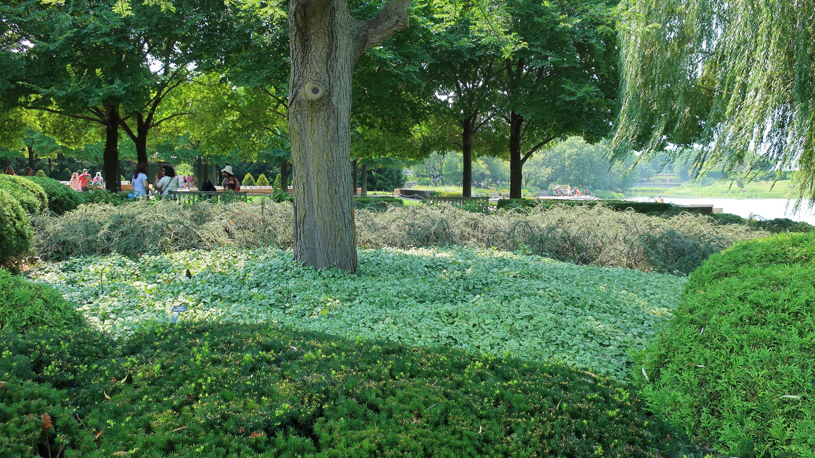 43359076765_83dc5cbefd_o